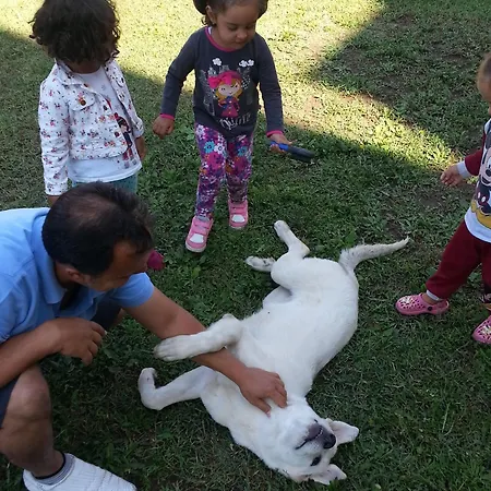 Sureyya Otel Gümüldür