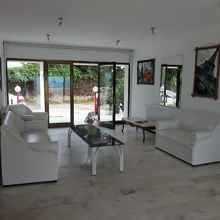 Sureyya * 구물두르