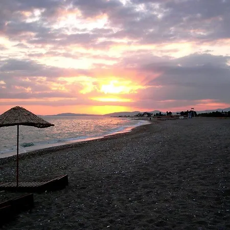 Sureyya * 구물두르